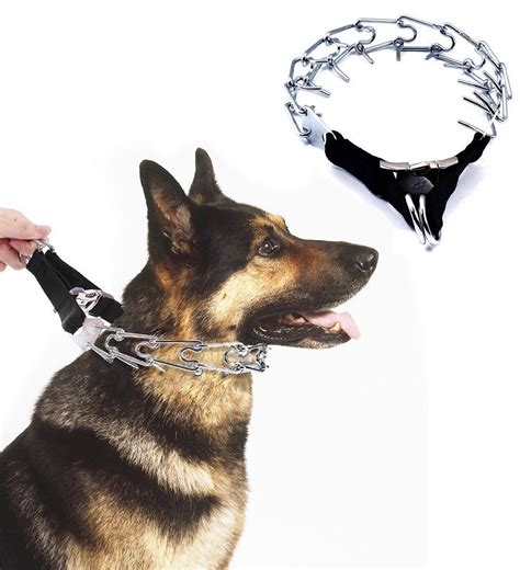 prong collar for puppies.